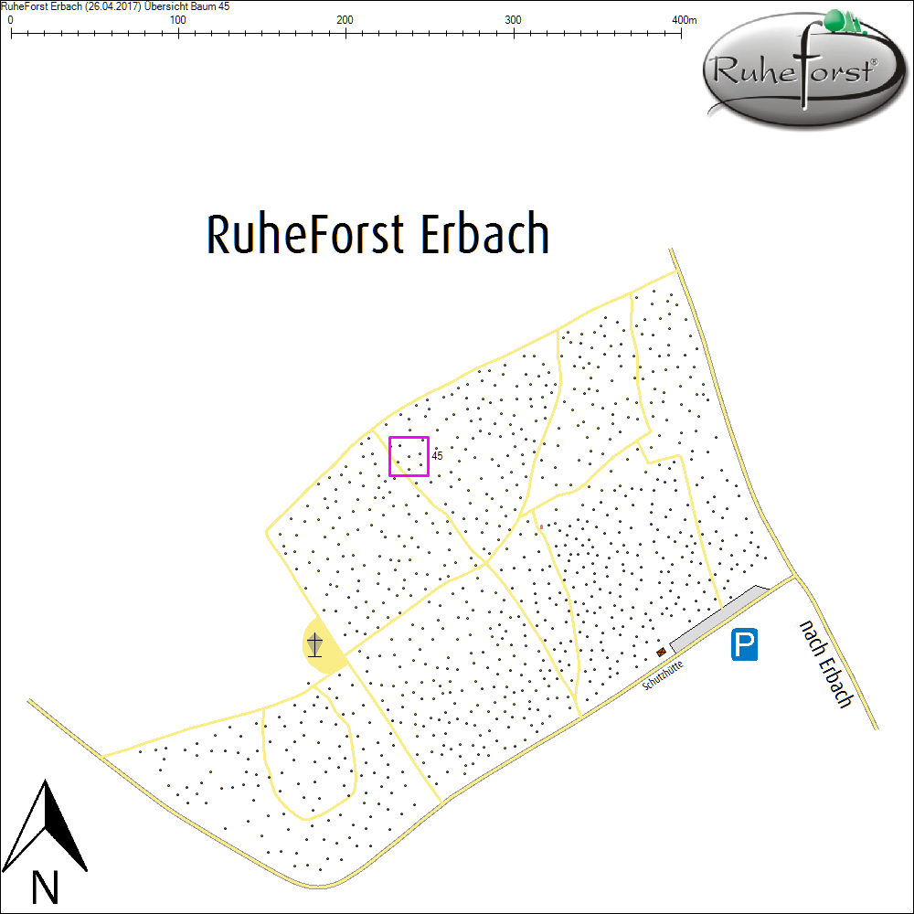 &Uuml;bersichtskarte zu Baum 45