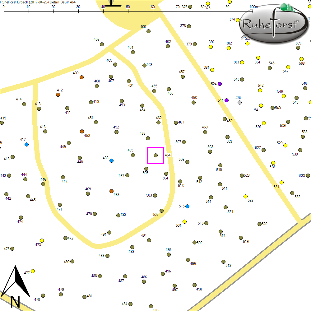 Detailkarte zu Baum 464