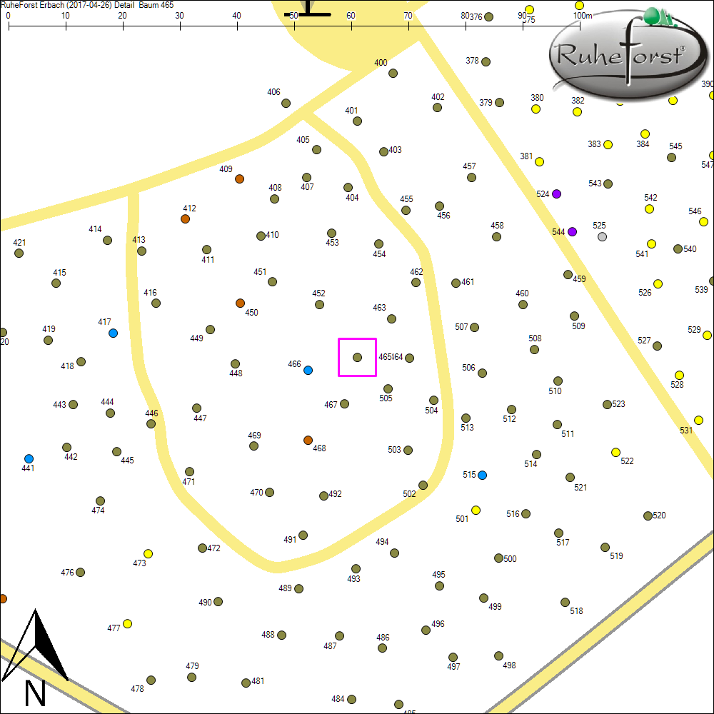 Detailkarte zu Baum 465