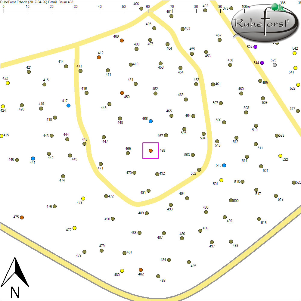 Detailkarte zu Baum 468