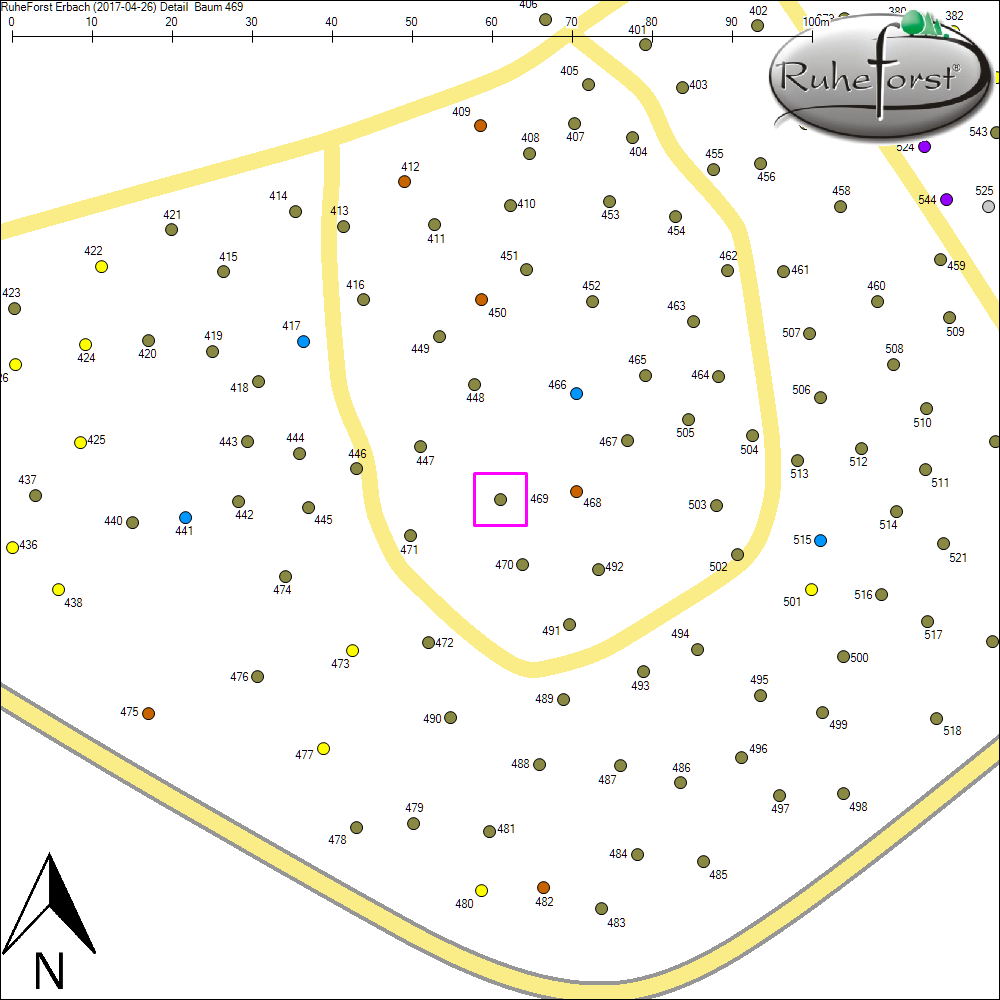 Detailkarte zu Baum 469