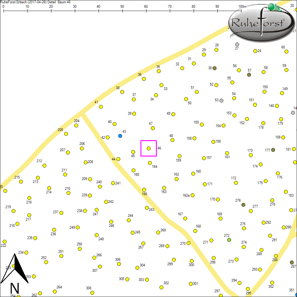 Detailkarte zu Baum 46