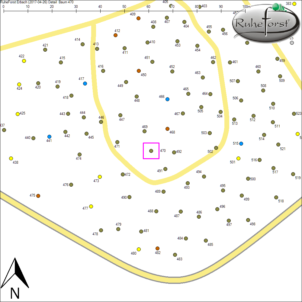 Detailkarte zu Baum 470