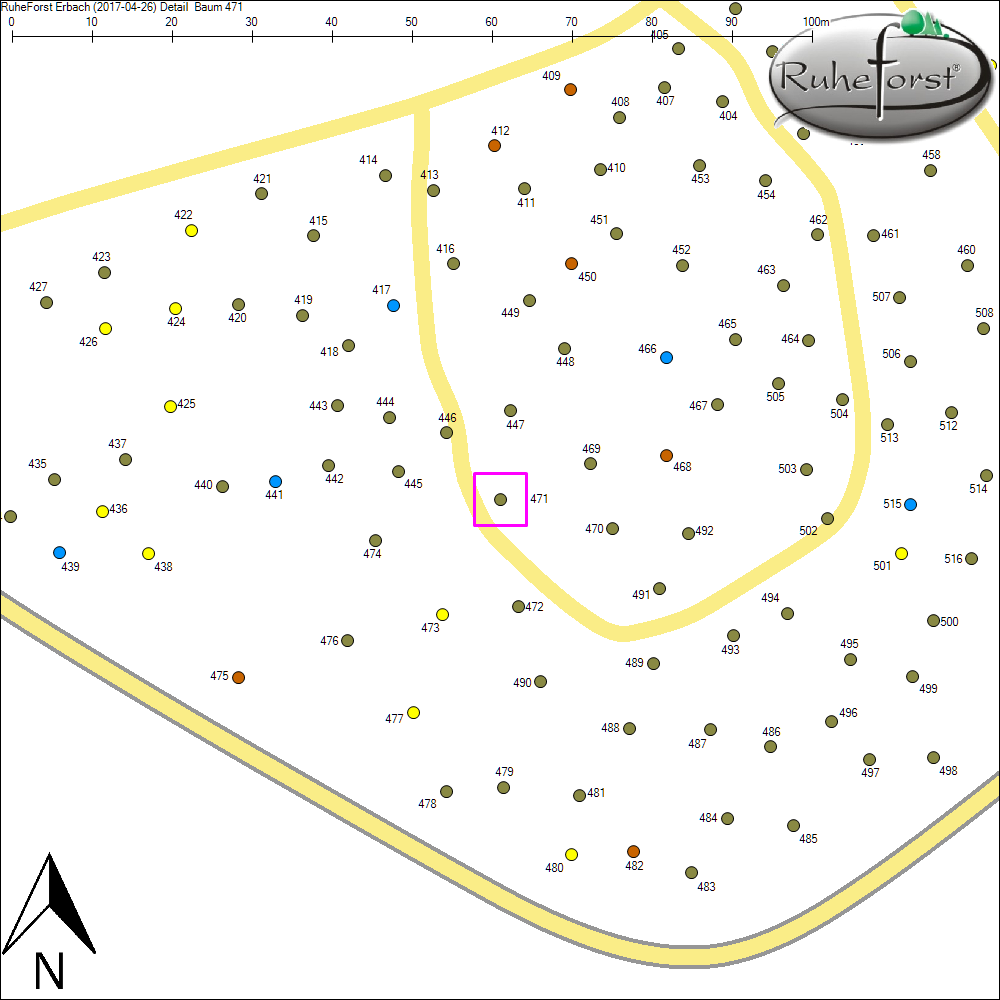 Detailkarte zu Baum 471