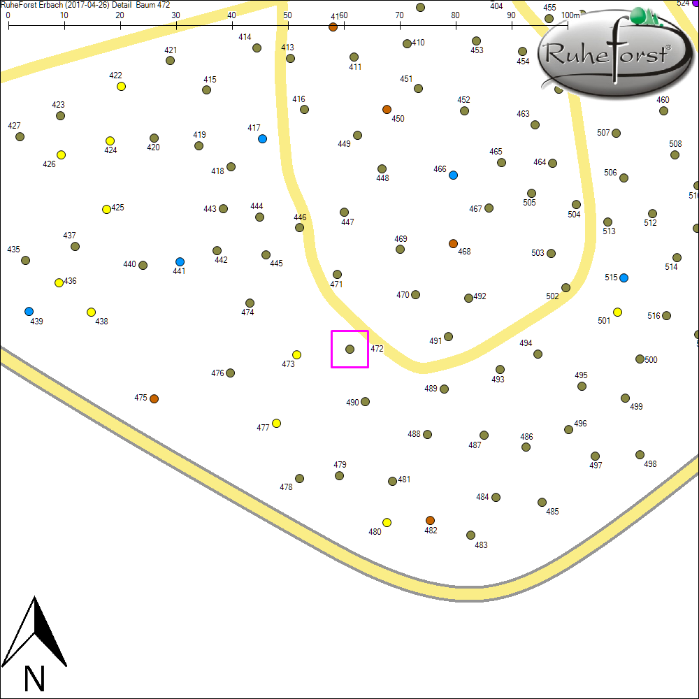 Detailkarte zu Baum 472