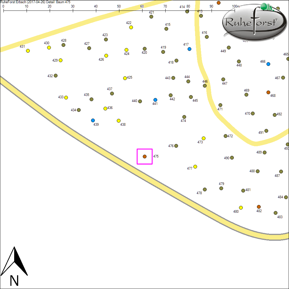 Detailkarte zu Baum 475