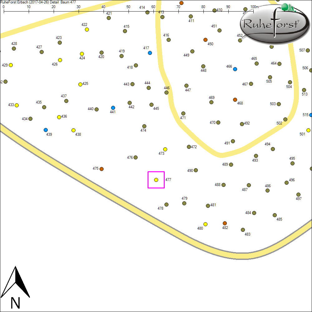 Detailkarte zu Baum 477