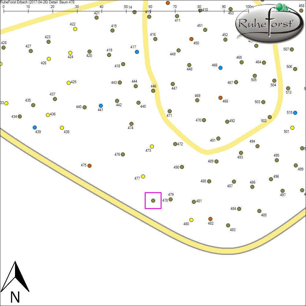 Detailkarte zu Baum 478
