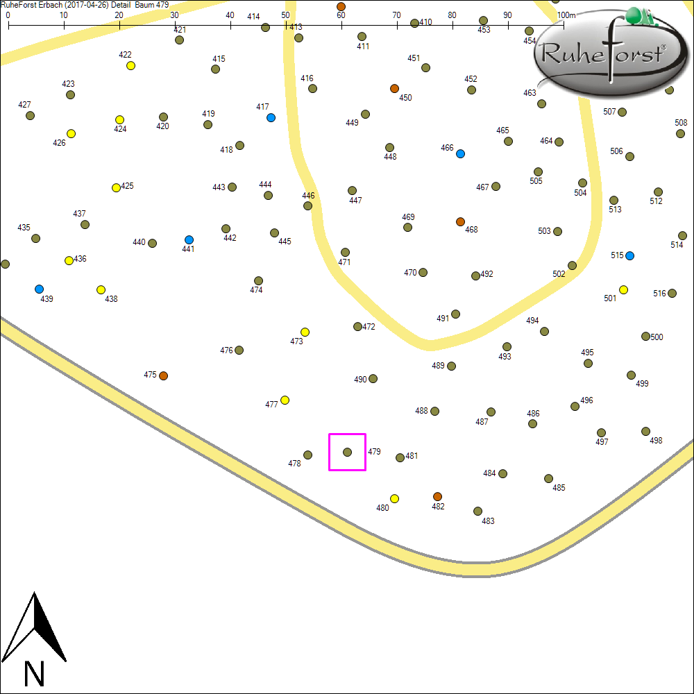 Detailkarte zu Baum 479