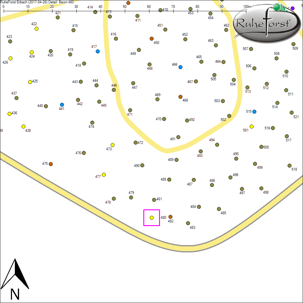 Detailkarte zu Baum 480