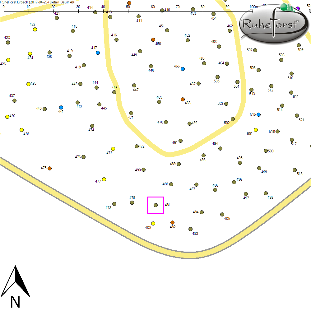 Detailkarte zu Baum 481