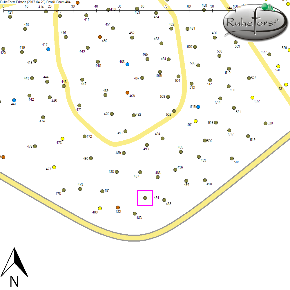 Detailkarte zu Baum 484