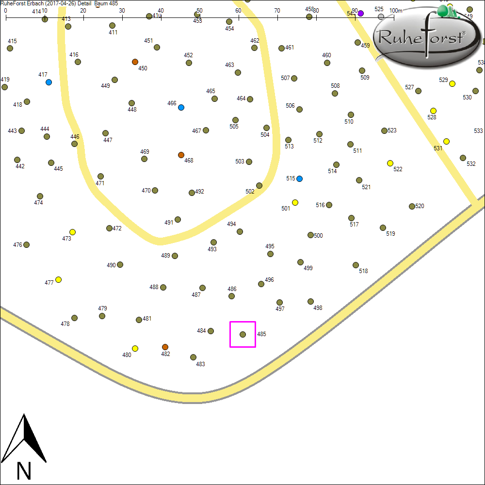 Detailkarte zu Baum 485
