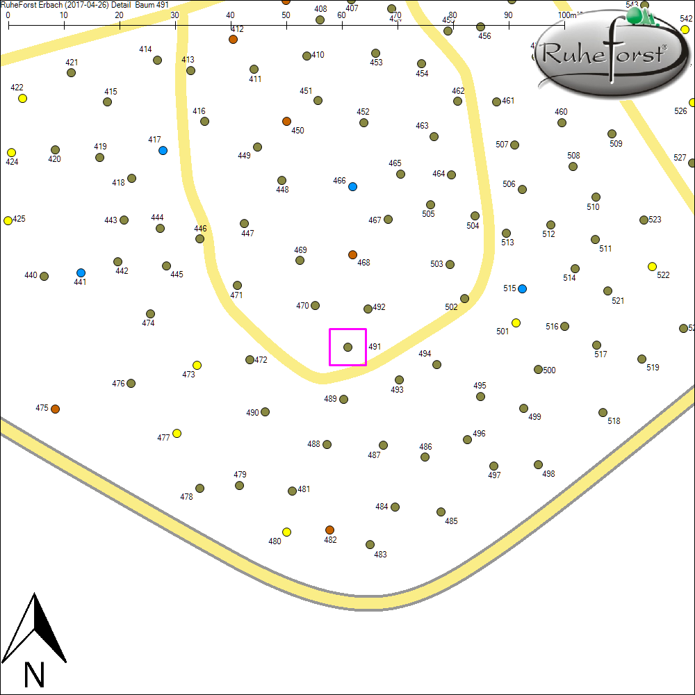 Detailkarte zu Baum 491
