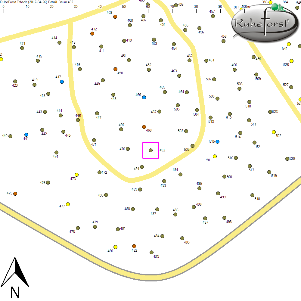 Detailkarte zu Baum 492
