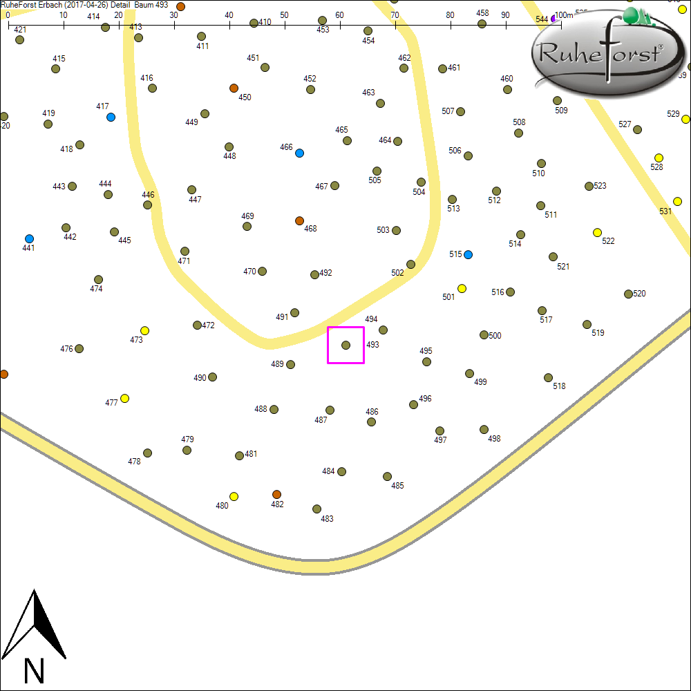 Detailkarte zu Baum 493