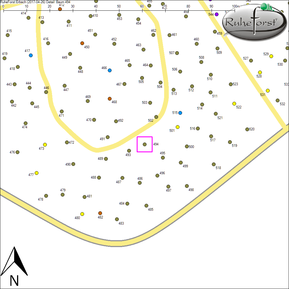 Detailkarte zu Baum 494