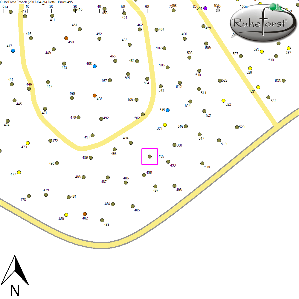 Detailkarte zu Baum 495