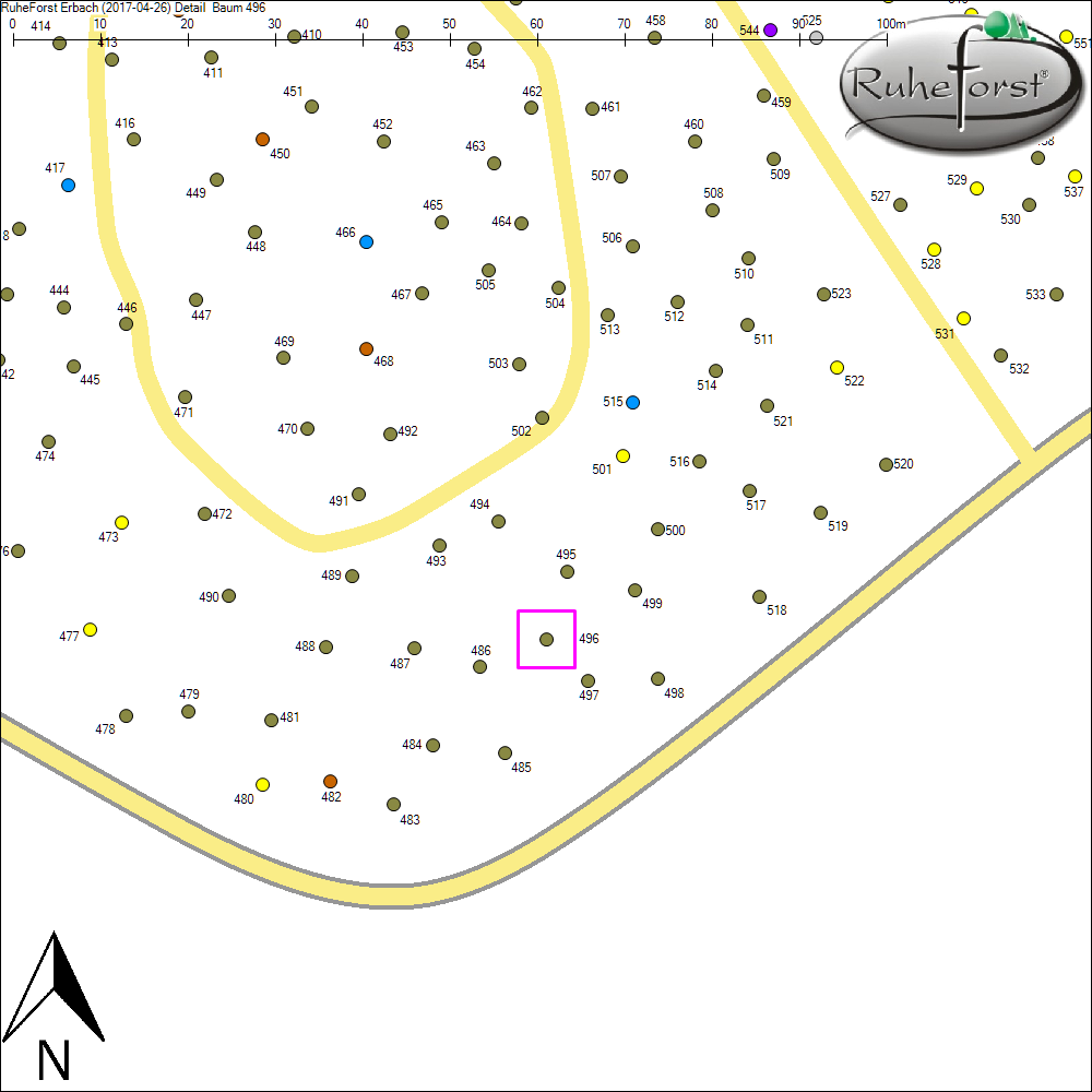 Detailkarte zu Baum 496
