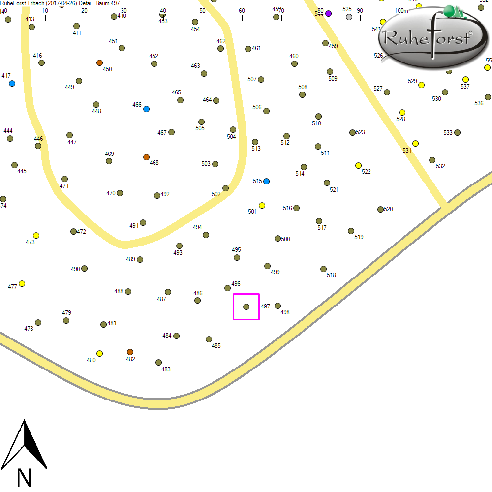 Detailkarte zu Baum 497