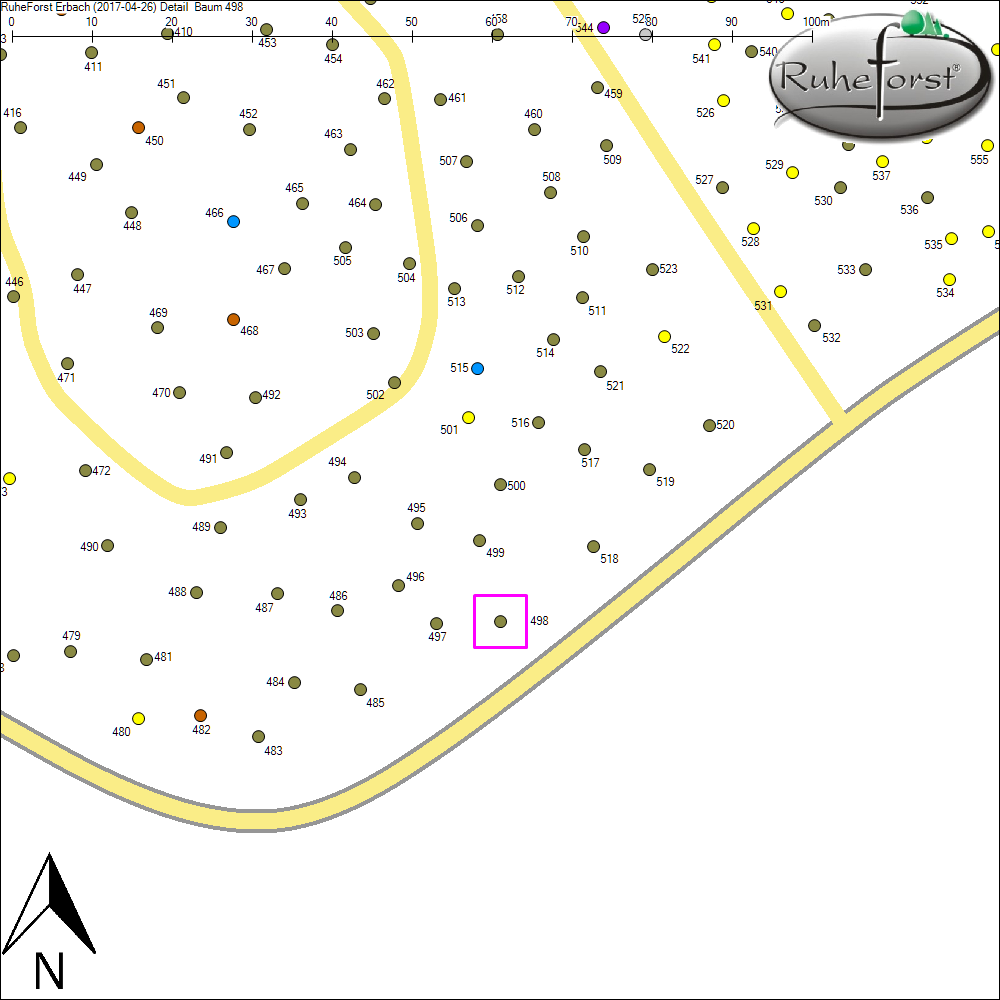 Detailkarte zu Baum 498