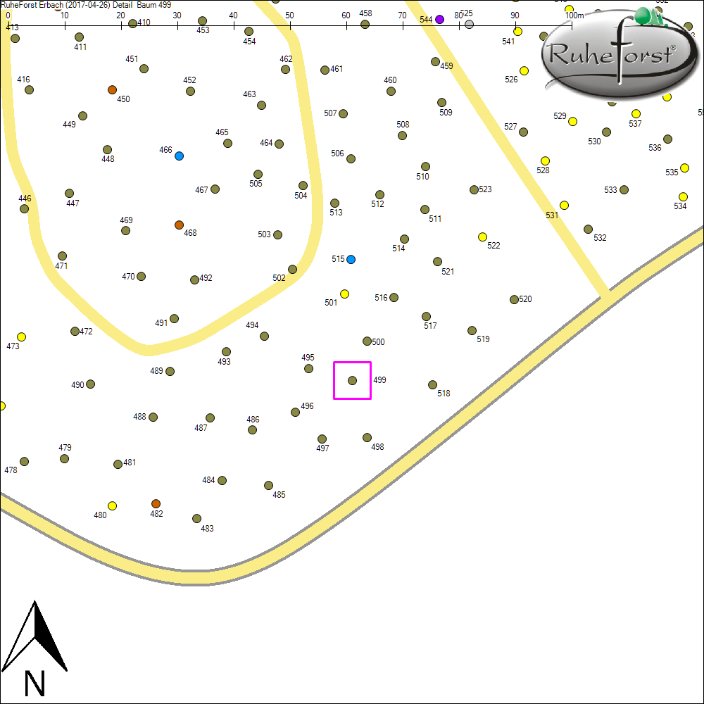 Detailkarte zu Baum 499