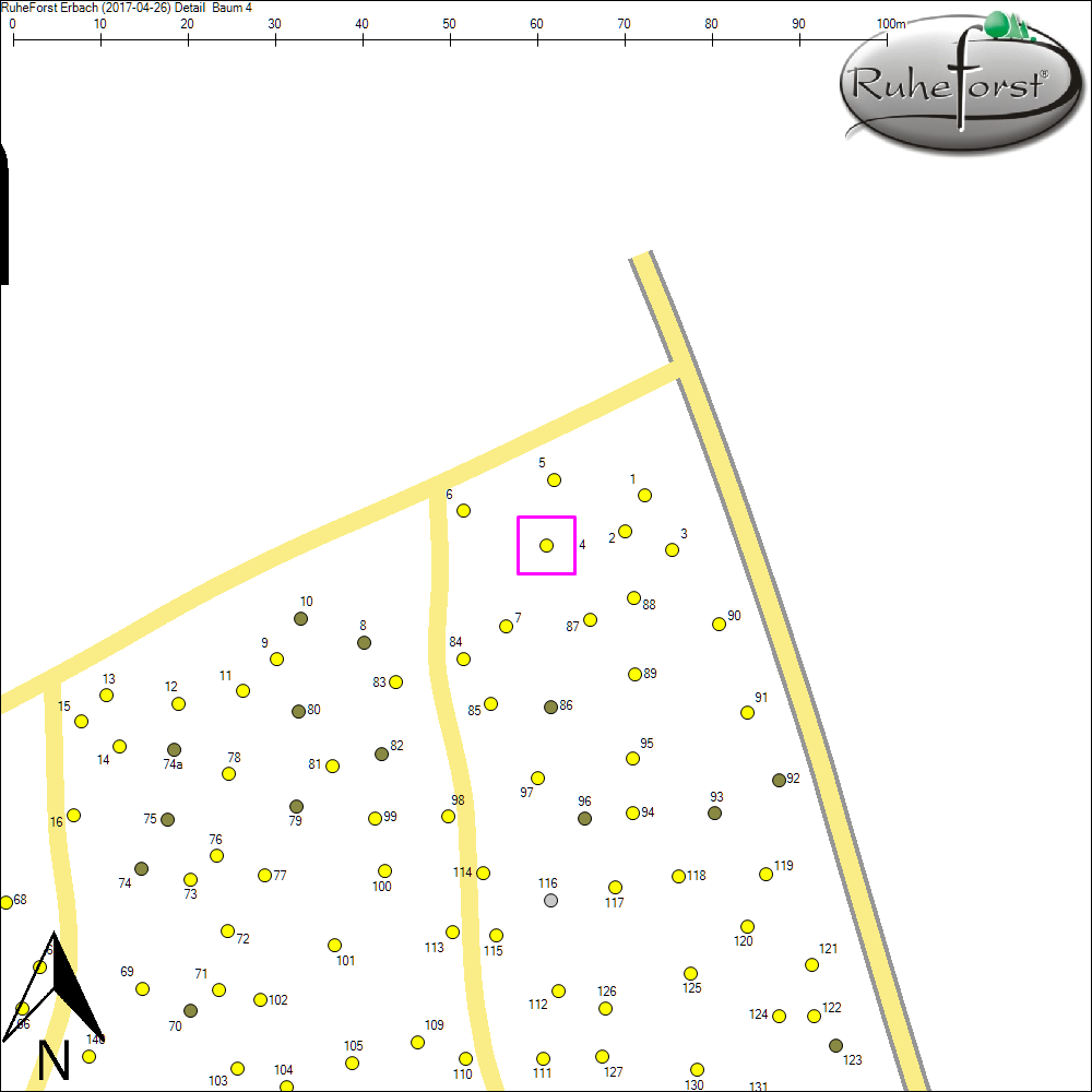 Detailkarte zu Baum 4