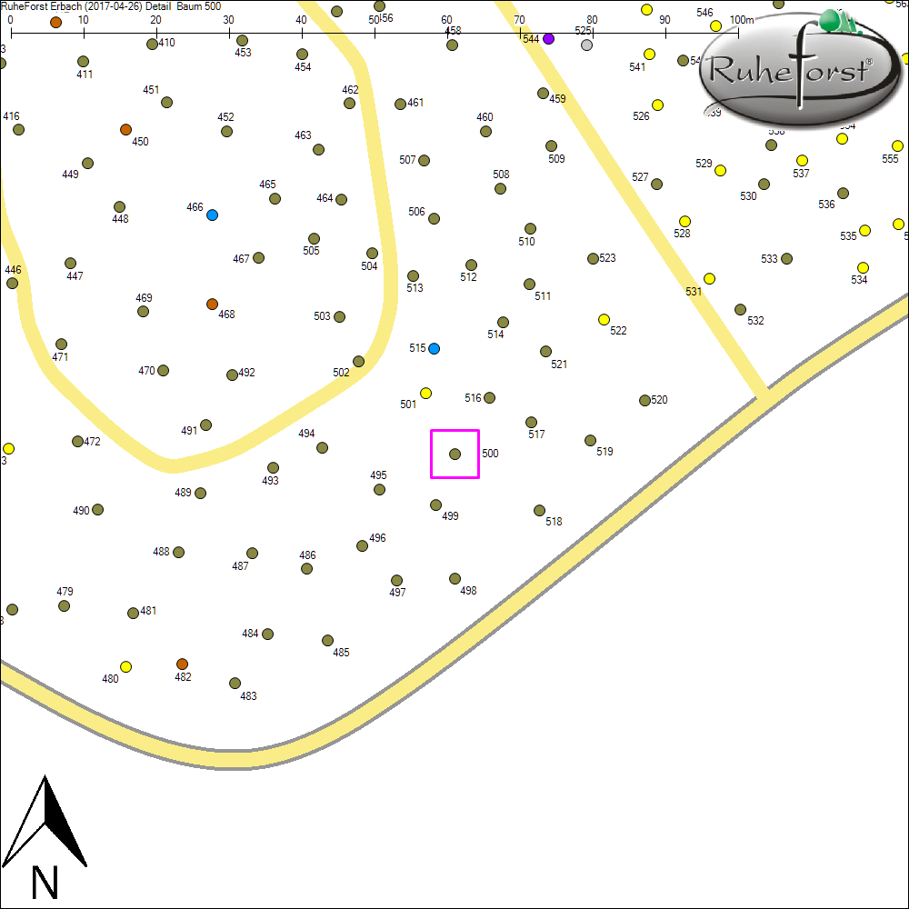 Detailkarte zu Baum 500