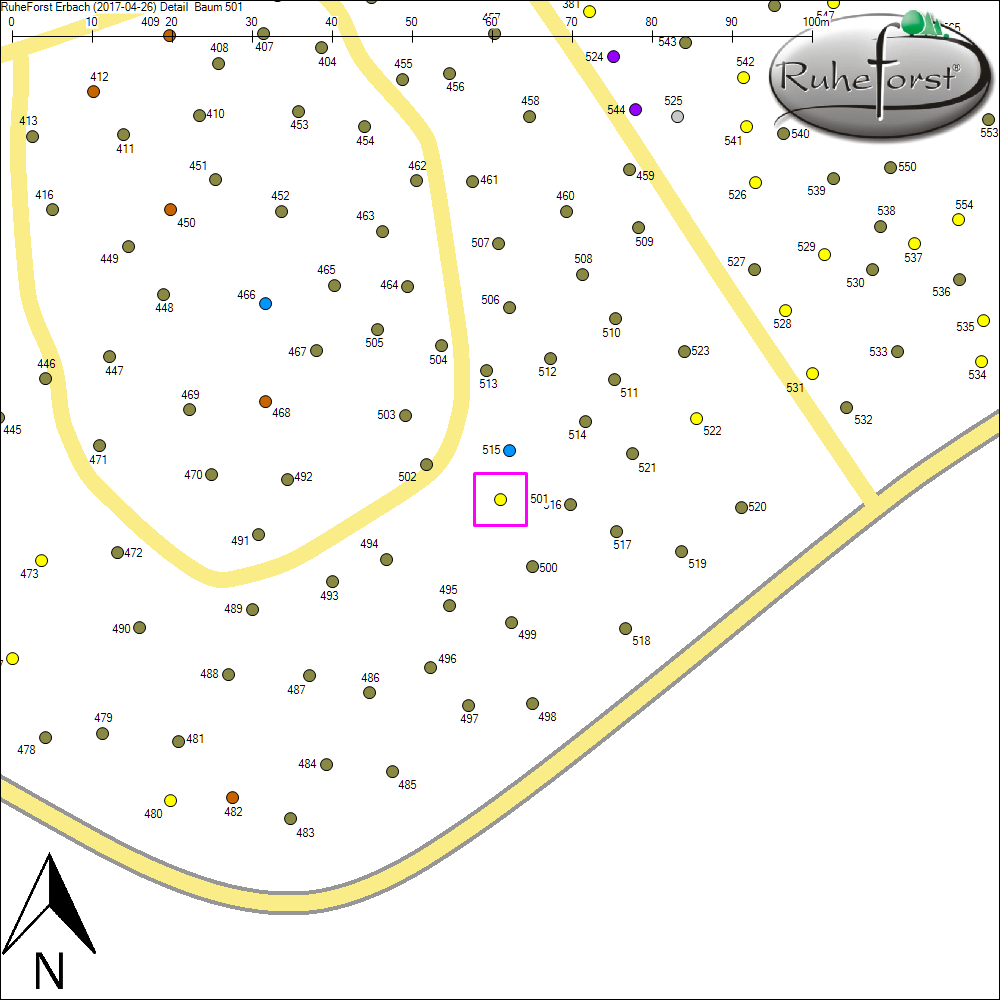 Detailkarte zu Baum 501