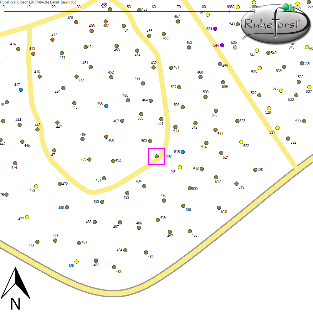 Detailkarte zu Baum 502