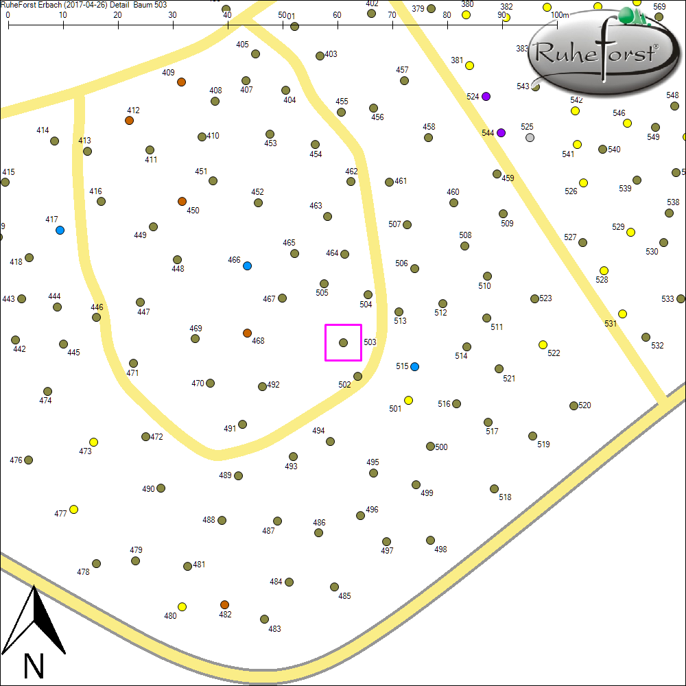Detailkarte zu Baum 503