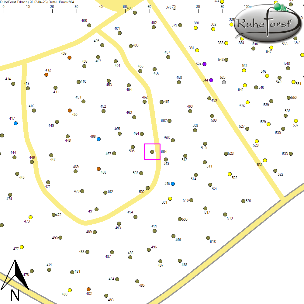 Detailkarte zu Baum 504