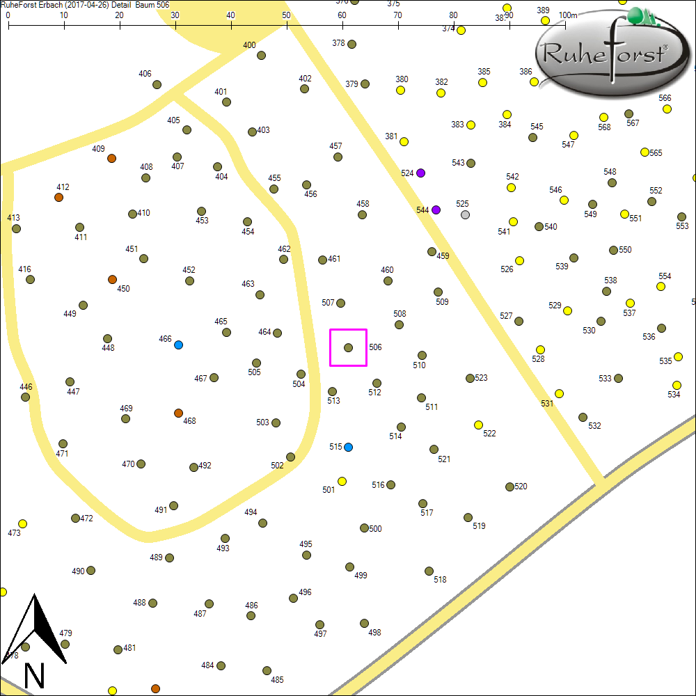 Detailkarte zu Baum 506