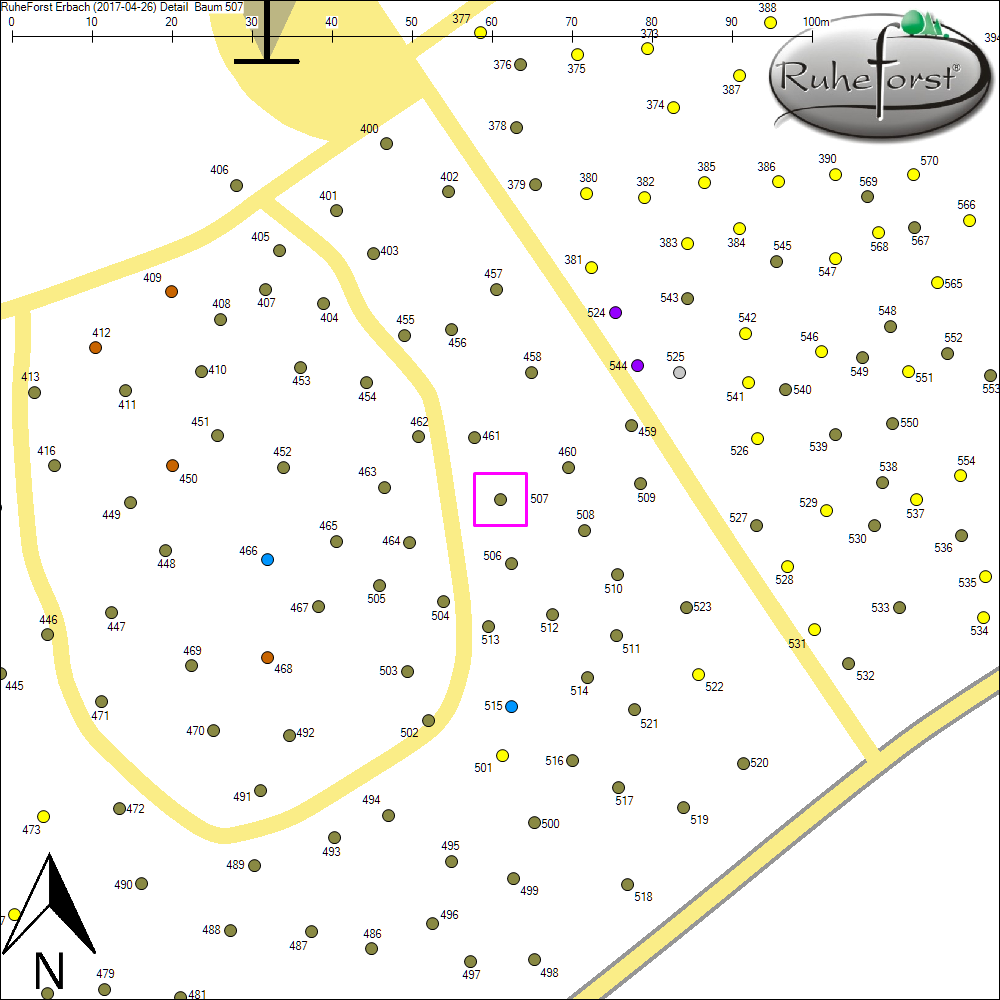 Detailkarte zu Baum 507