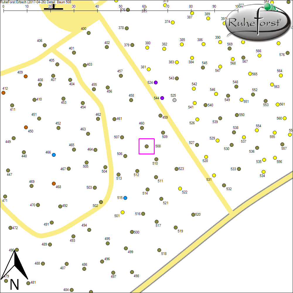 Detailkarte zu Baum 508