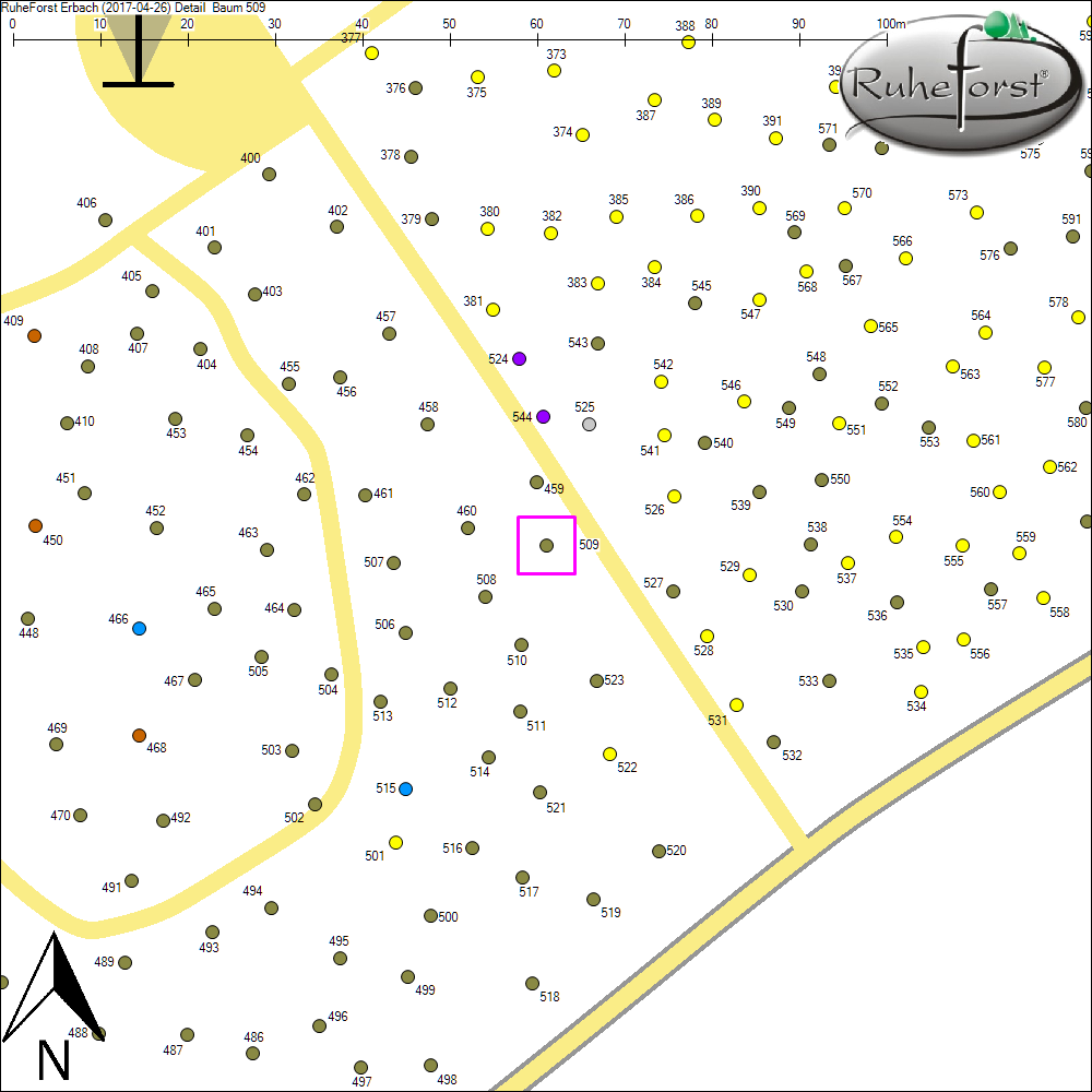 Detailkarte zu Baum 509