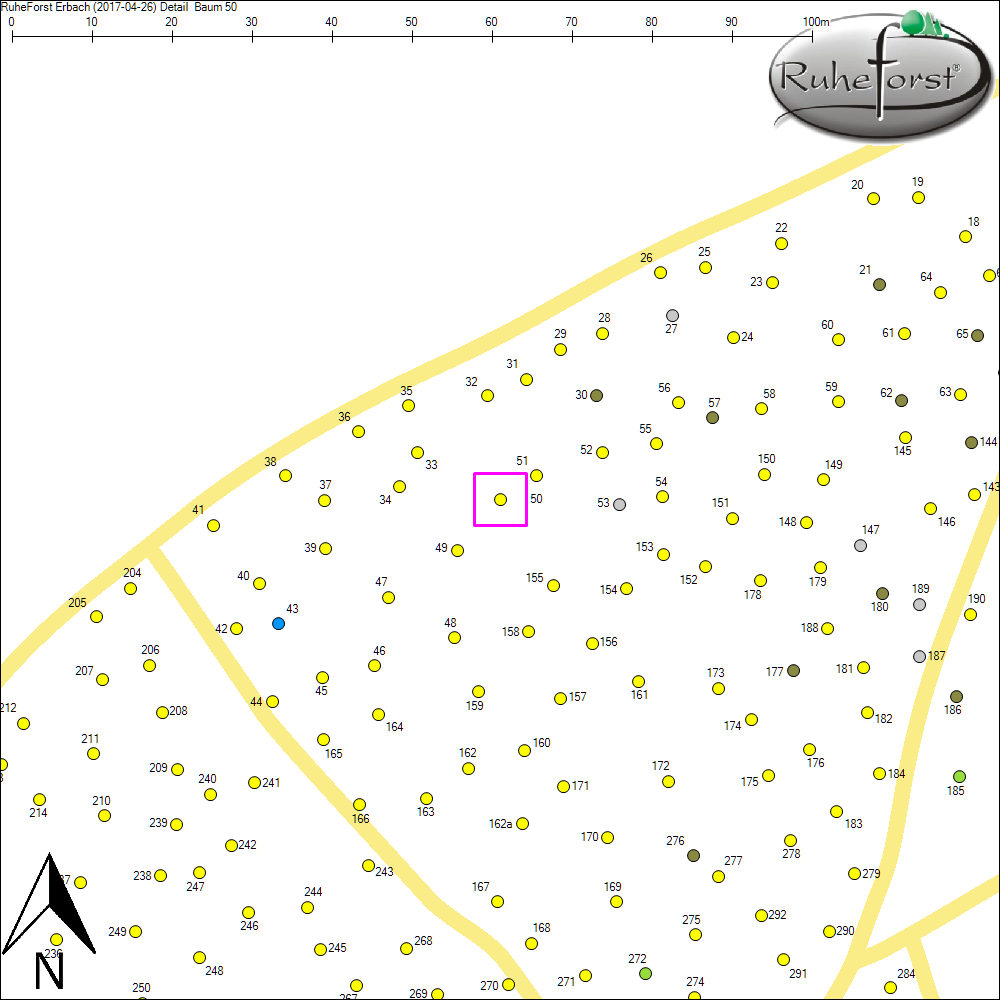 Detailkarte zu Baum 50
