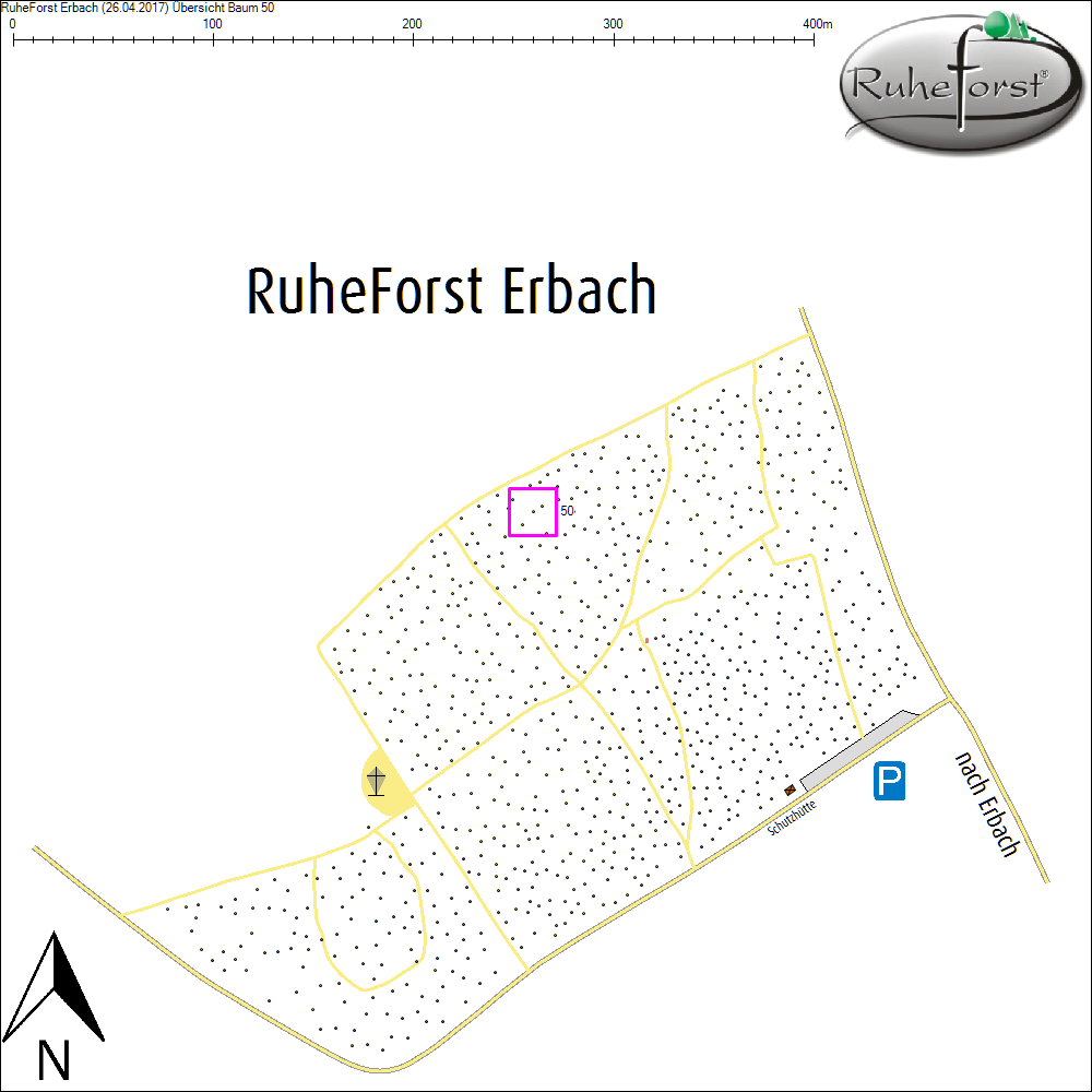 &Uuml;bersichtskarte zu Baum 50