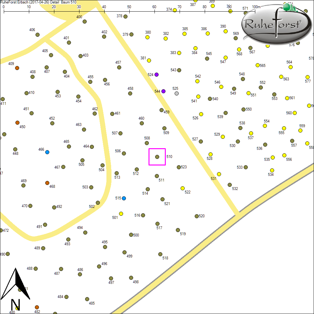 Detailkarte zu Baum 510