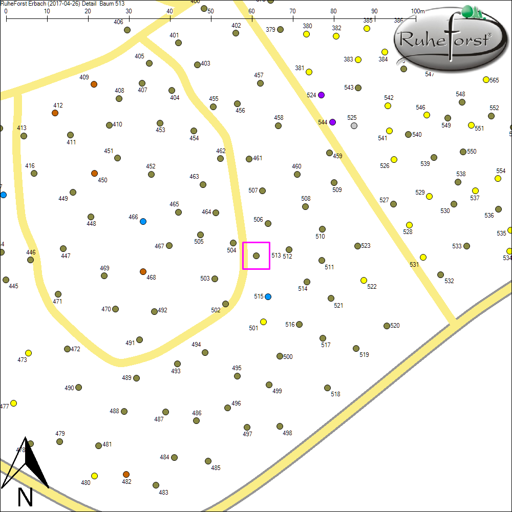 Detailkarte zu Baum 513