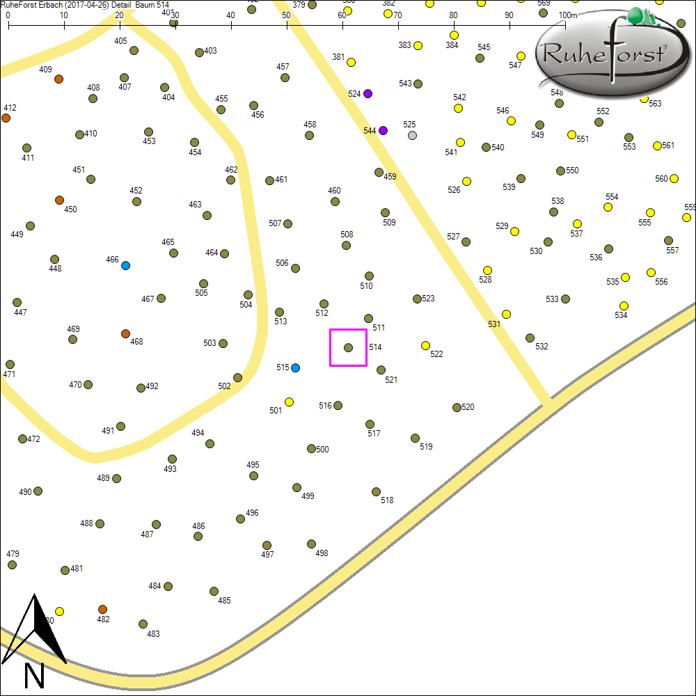 Detailkarte zu Baum 514