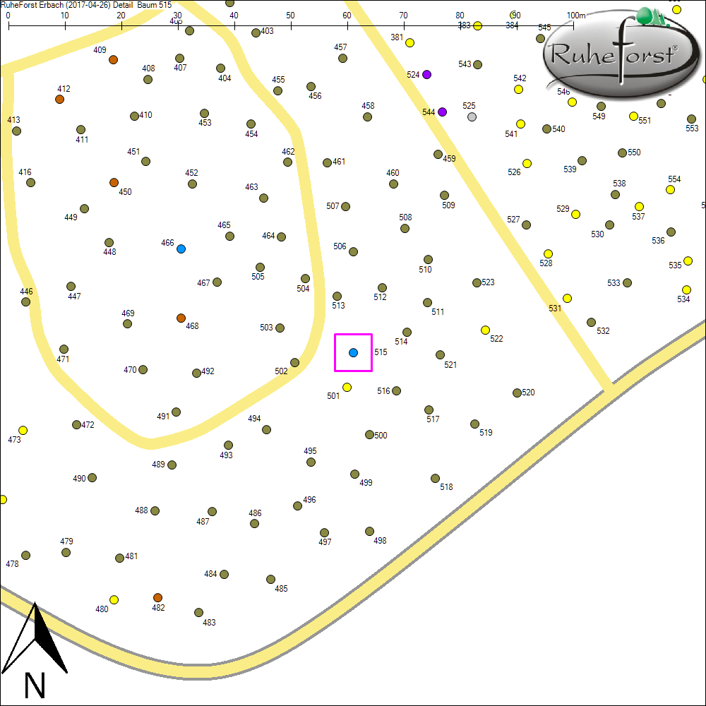 Detailkarte zu Baum 515