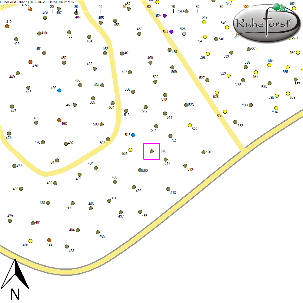 Detailkarte zu Baum 516