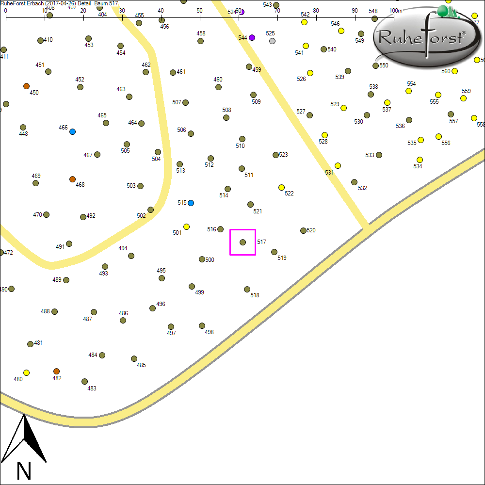 Detailkarte zu Baum 517