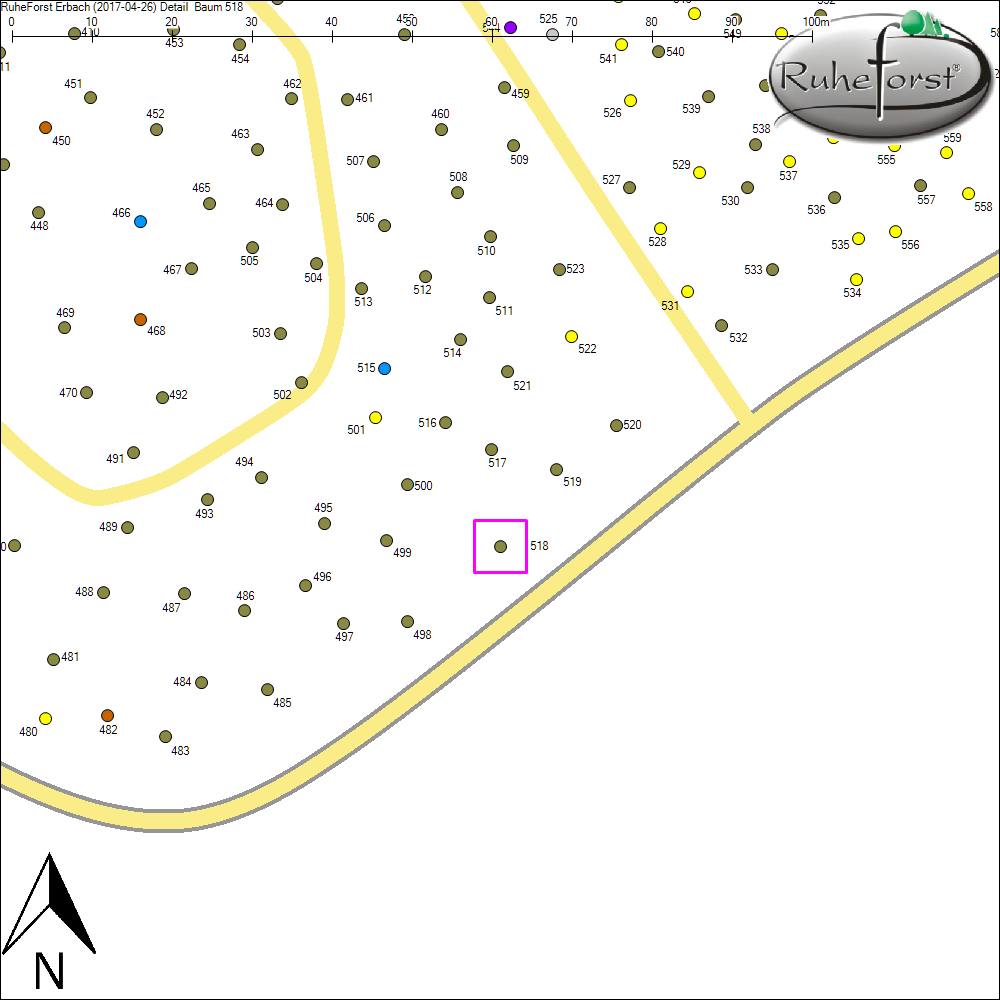 Detailkarte zu Baum 518