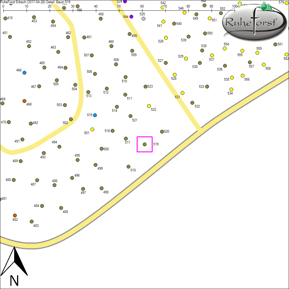 Detailkarte zu Baum 519