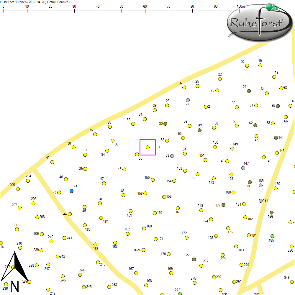Detailkarte zu Baum 51