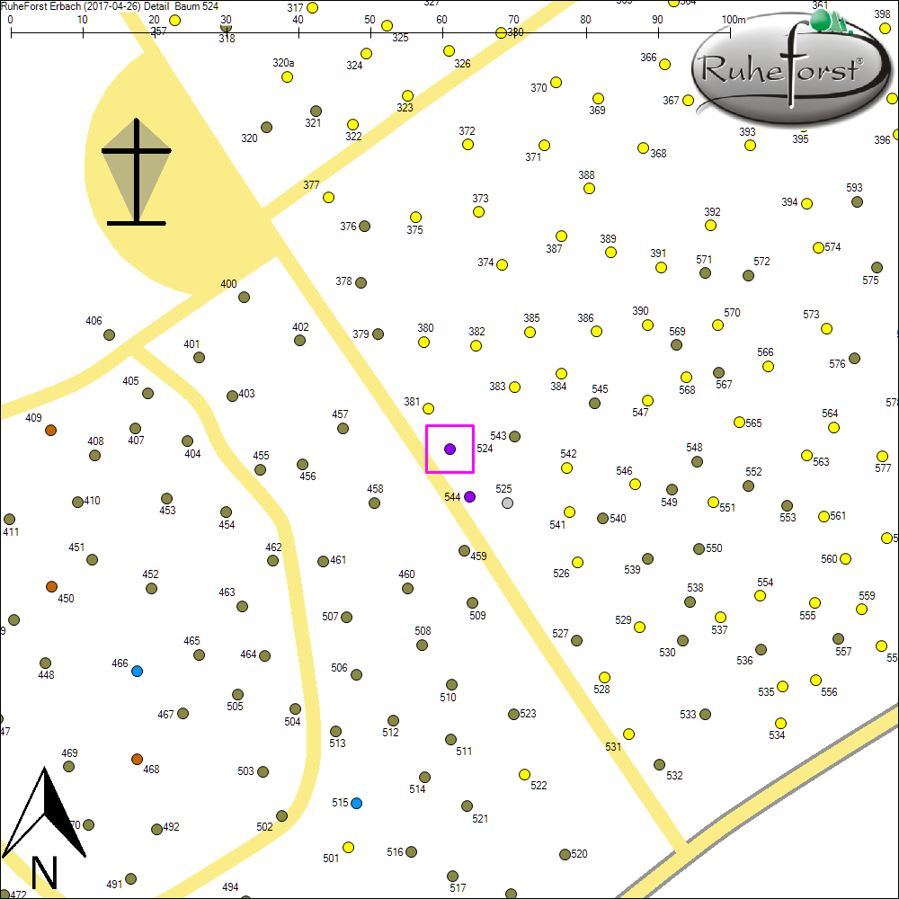 Detailkarte zu Baum 524