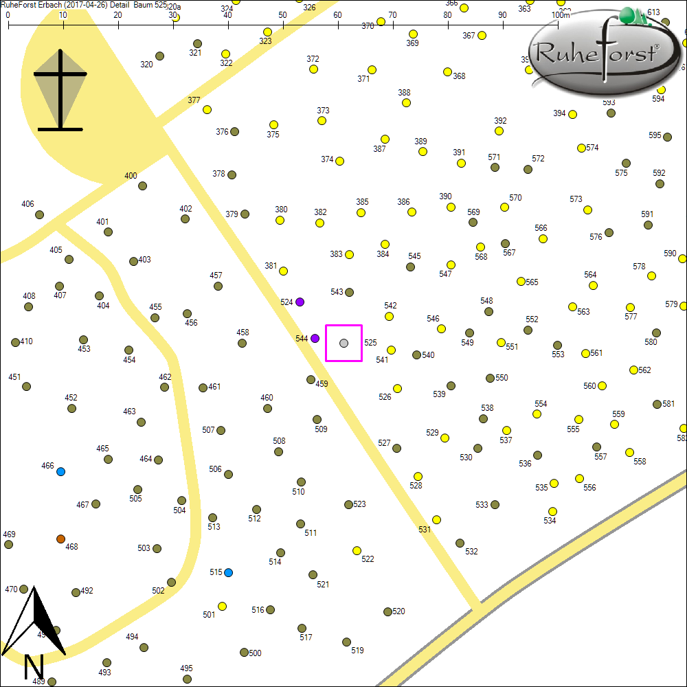 Detailkarte zu Baum 525