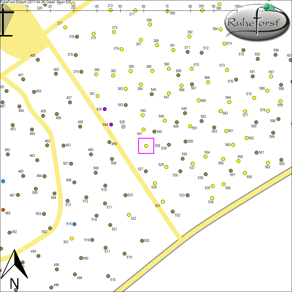 Detailkarte zu Baum 526